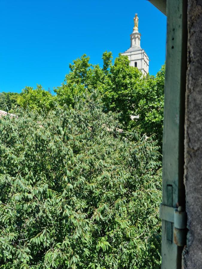 Apartamento Un Nid Sur Les Toits Face Au Palais Des Papes Aviñón Exterior foto
