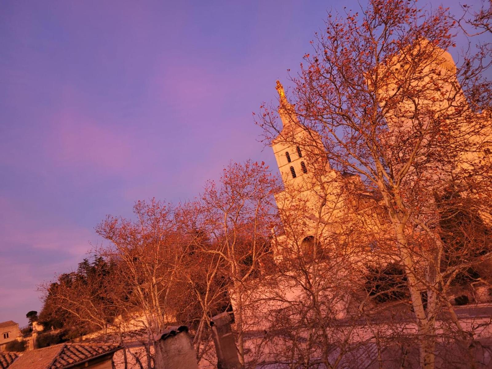 Apartamento Un Nid Sur Les Toits Face Au Palais Des Papes Aviñón Exterior foto