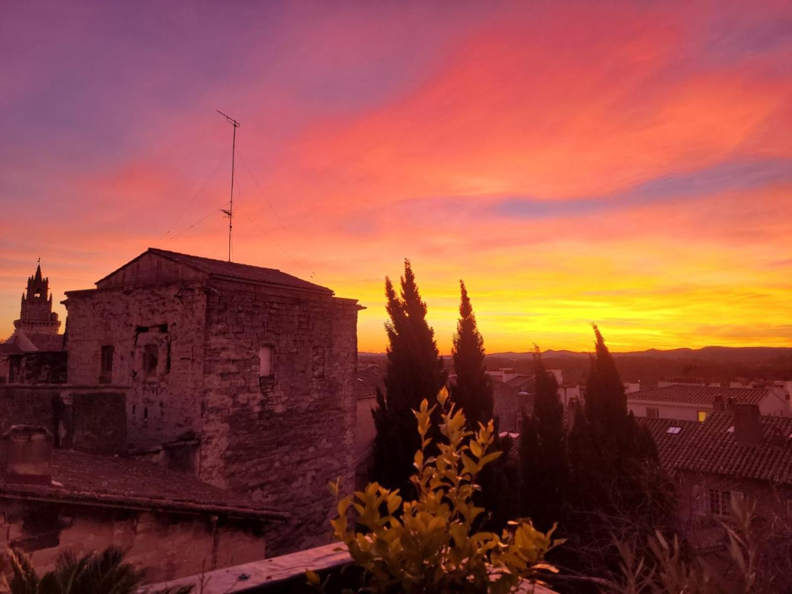 Apartamento Un Nid Sur Les Toits Face Au Palais Des Papes Aviñón Exterior foto